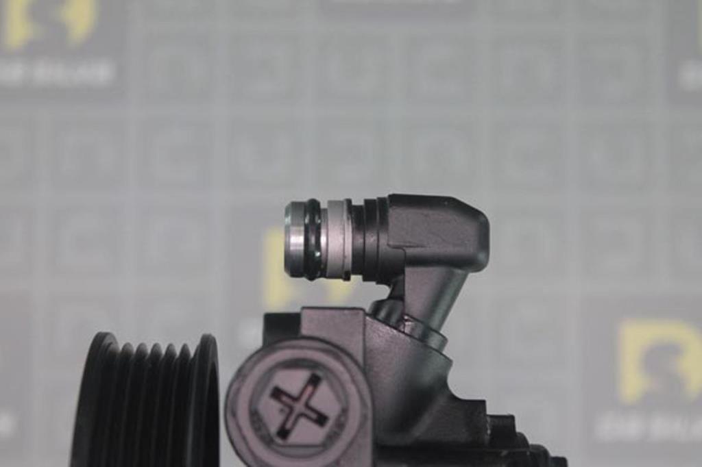 Pompe de direction assistée (Servo direction) DA SILVA S.A.S. DP3354
