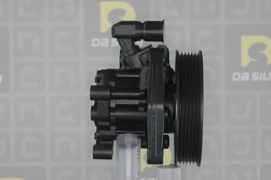 Pompe de direction assistée (Servo direction) DA SILVA S.A.S. DP3361