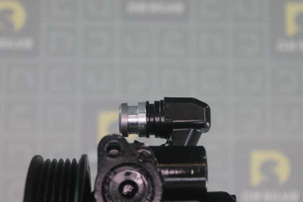 Pompe de direction assistée (Servo direction) DA SILVA S.A.S. DP3361