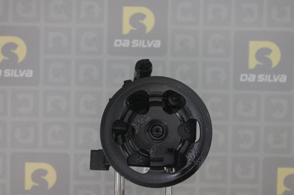 Pompe de direction assistée (Servo direction) DA SILVA S.A.S. DP3413