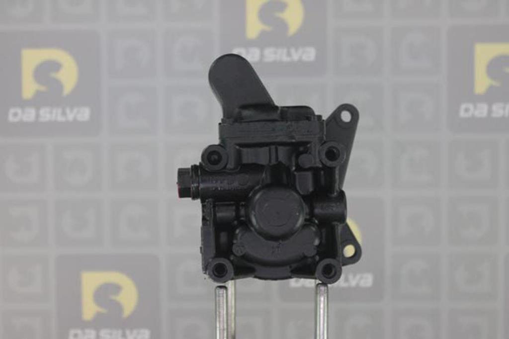 Pompe de direction assistée (Servo direction) DA SILVA S.A.S. DP3419