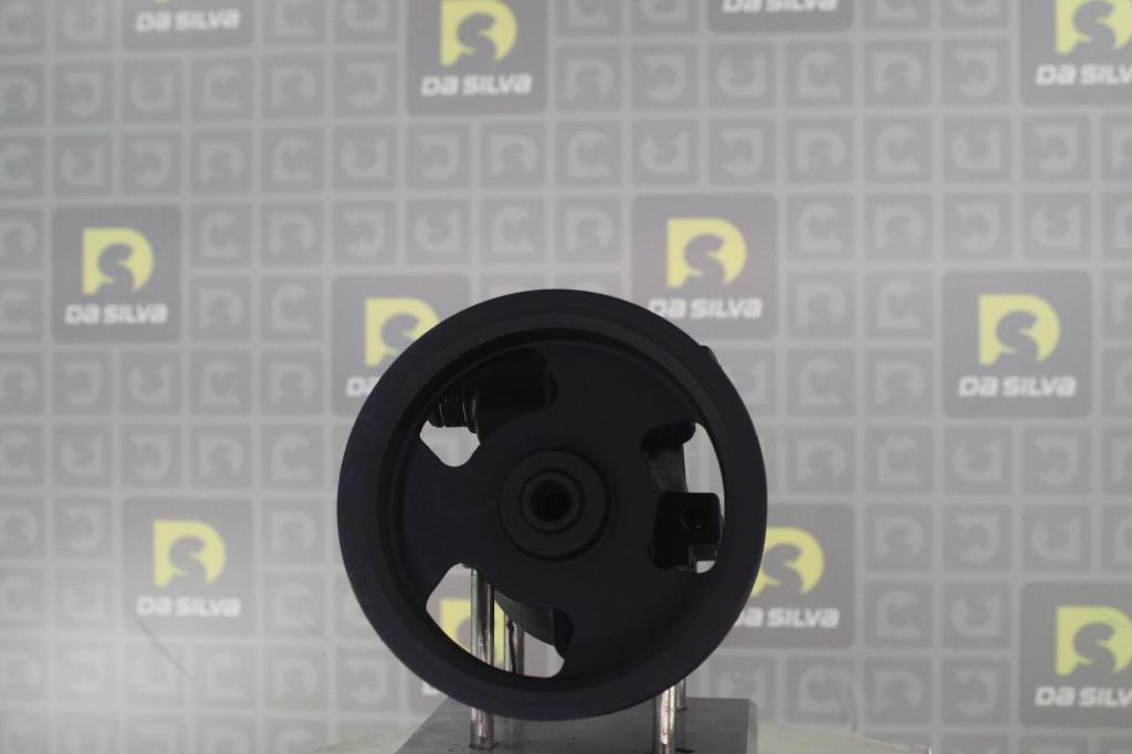 Pompe de direction assistée (Servo direction) DA SILVA S.A.S. DP3501