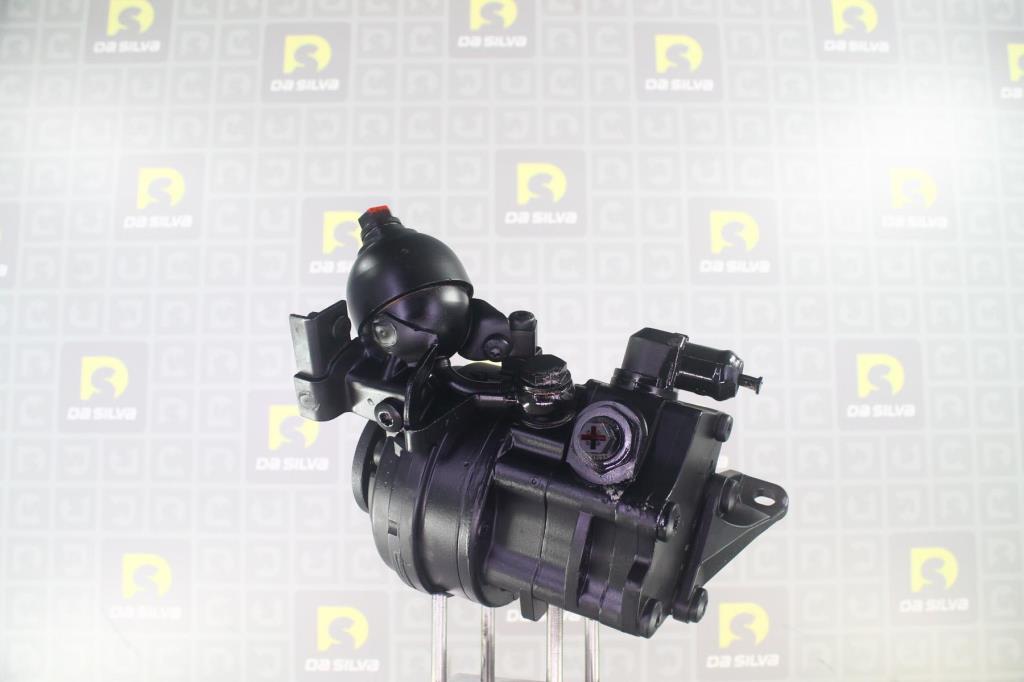 Pompe de direction assistée (Servo direction) DA SILVA S.A.S. DP3504