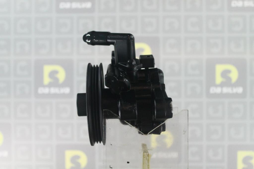 Pompe de direction assistée (Servo direction) DA SILVA S.A.S. ref. DP3515