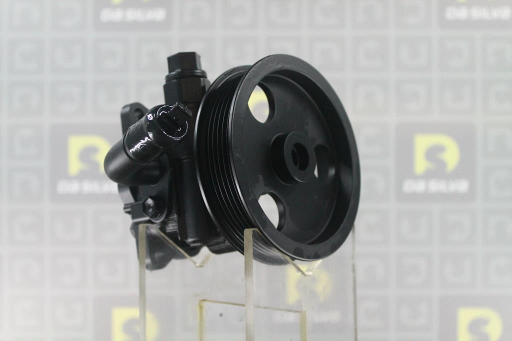 Pompe de direction assistée (Servo direction) DA SILVA S.A.S. DP3526