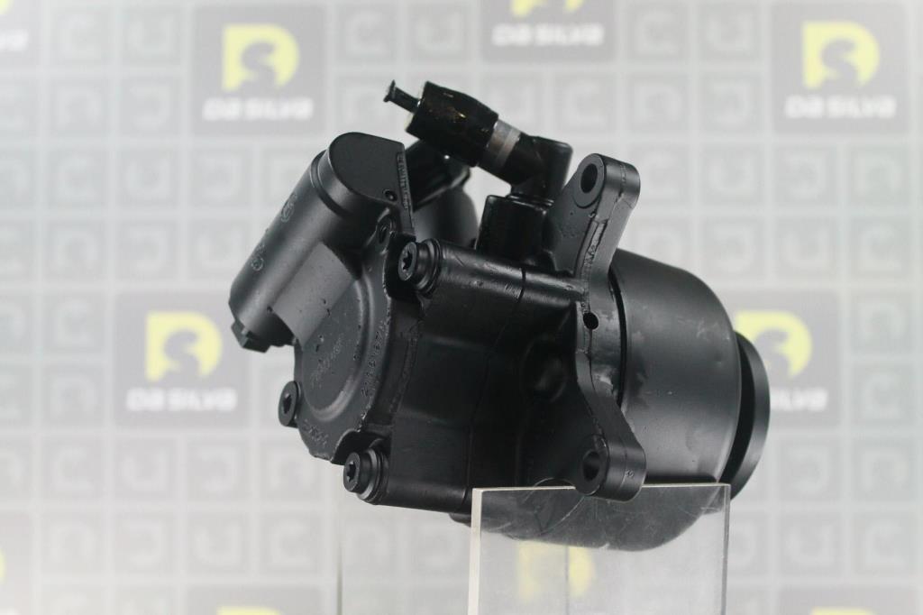 Pompe de direction assistée (Servo direction) DA SILVA S.A.S. DP3534