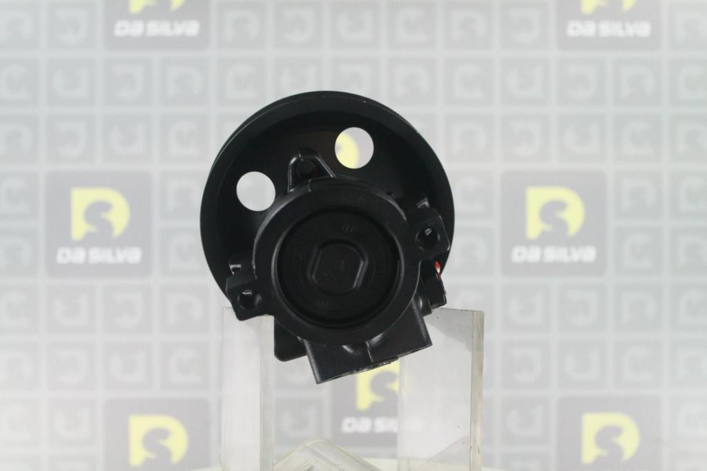 Pompe de direction assistée (Servo direction) DA SILVA S.A.S. ref. DP3537