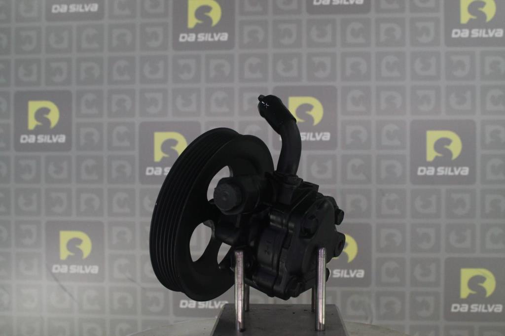 Pompe de direction assistée (Servo direction) DA SILVA S.A.S. DP3548