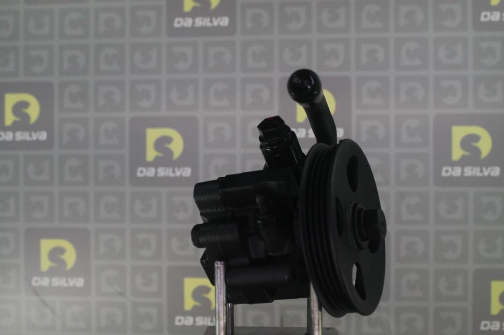 Pompe de direction assistée (Servo direction) DA SILVA S.A.S. DP3551