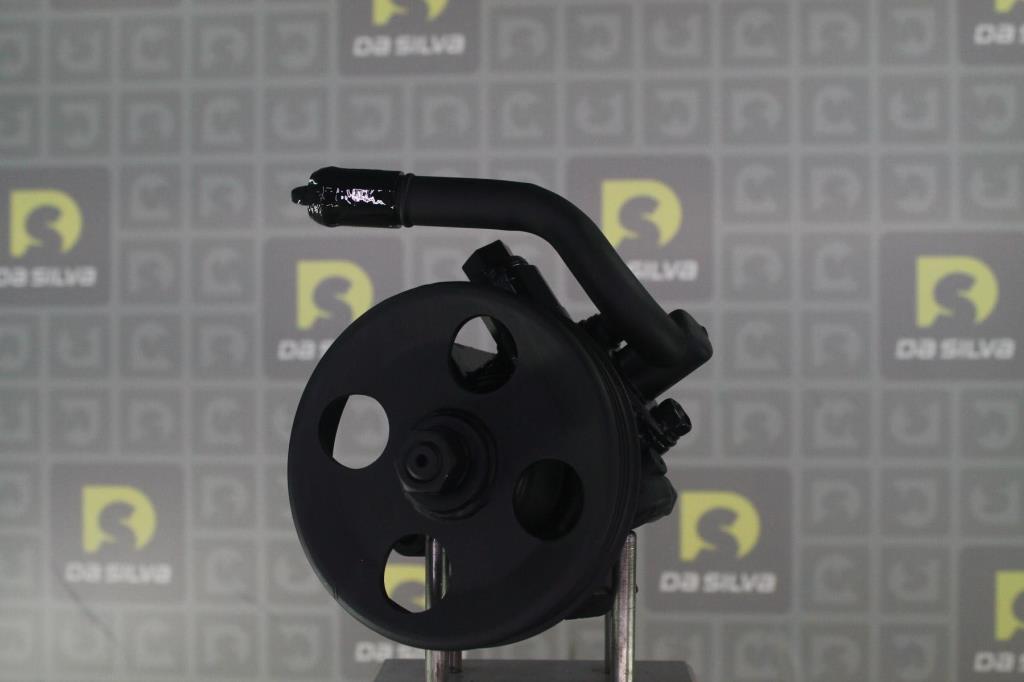 Pompe de direction assistée (Servo direction) DA SILVA S.A.S. DP3551
