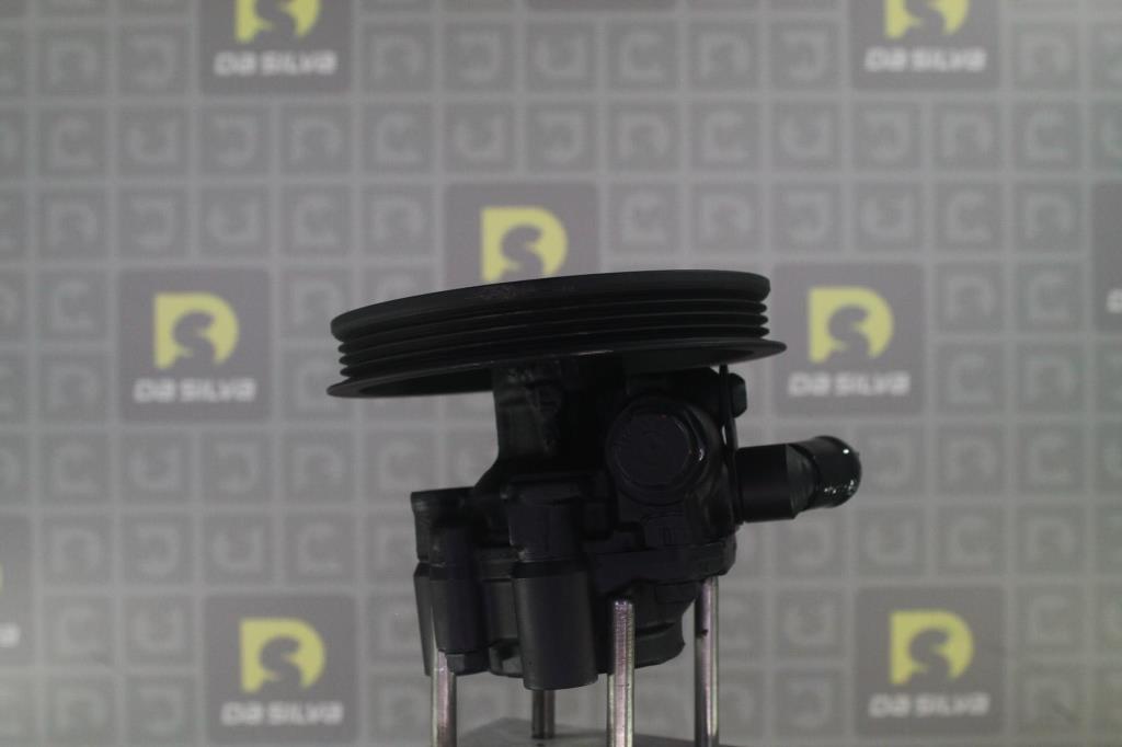 Pompe de direction assistée (Servo direction) DA SILVA S.A.S. DP3556