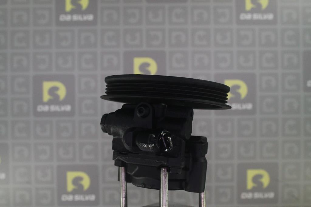 Pompe de direction assistée (Servo direction) DA SILVA S.A.S. DP3556