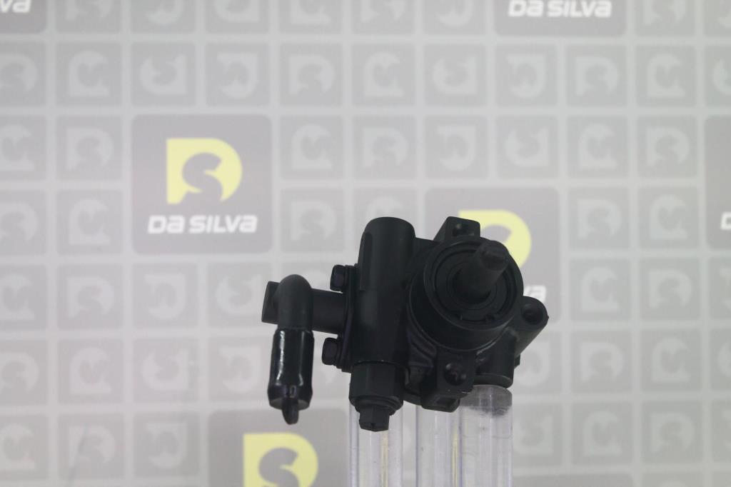 Pompe de direction assistée (Servo direction) DA SILVA S.A.S. DP3562