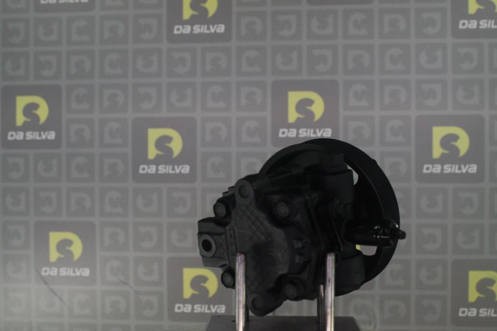 Bomba de direção assistida DA SILVA S.A.S. ref. DP3563