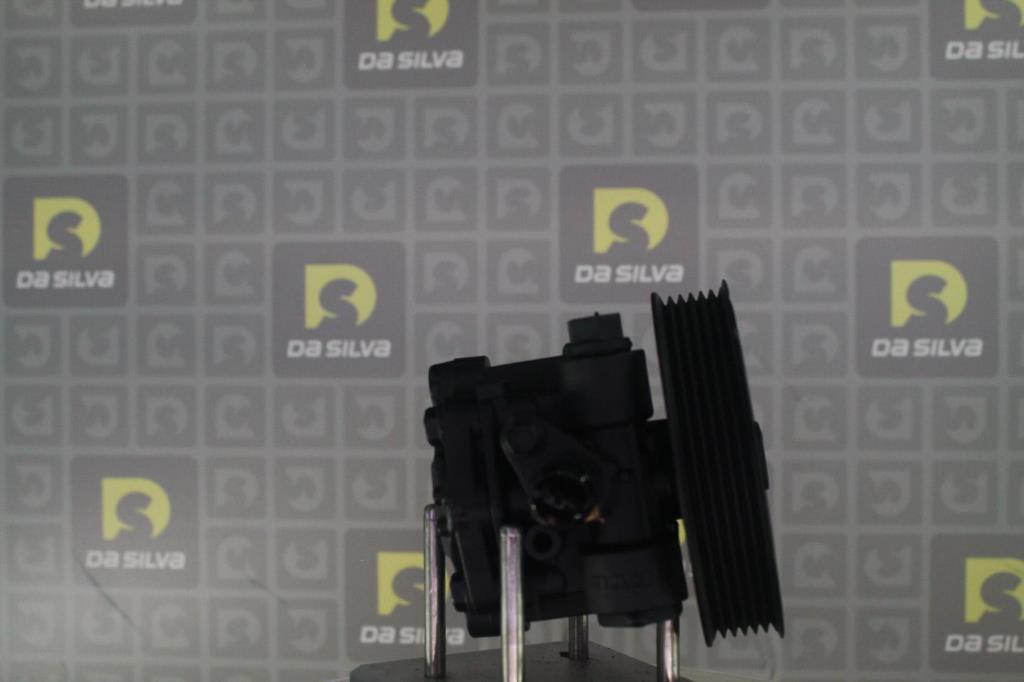 Bomba de direção assistida DA SILVA S.A.S. ref. DP3563
