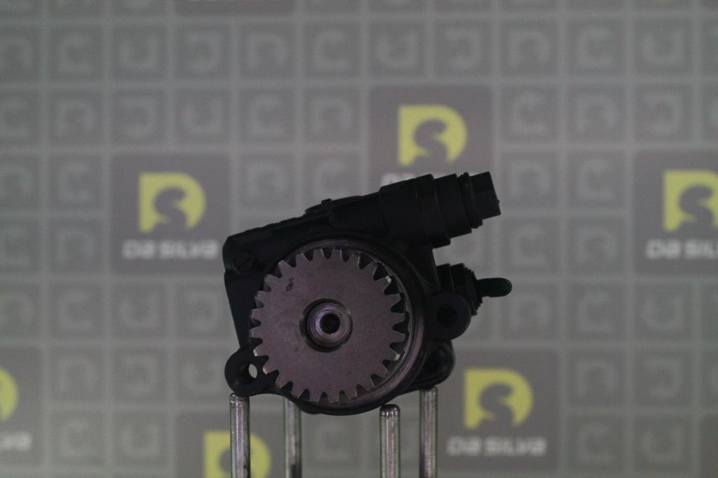 Pompe de direction assistée (Servo direction) DA SILVA S.A.S. DP3565