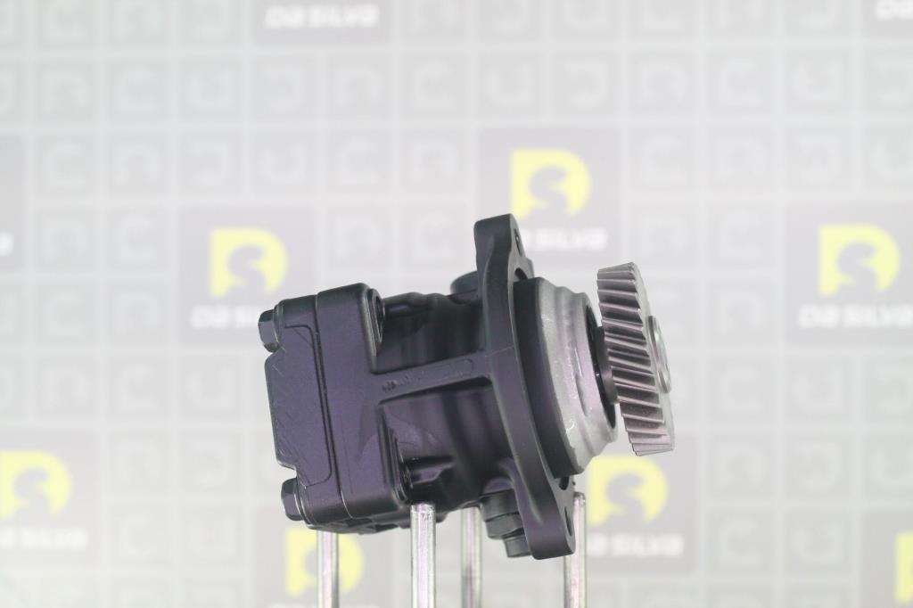 Pompe de direction assistée (Servo direction) DA SILVA S.A.S. ref. DP3566