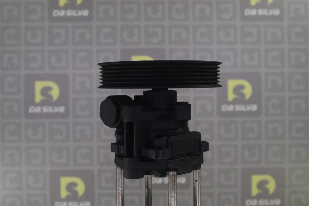 Pompe de direction assistée (Servo direction) DA SILVA S.A.S. DP3595