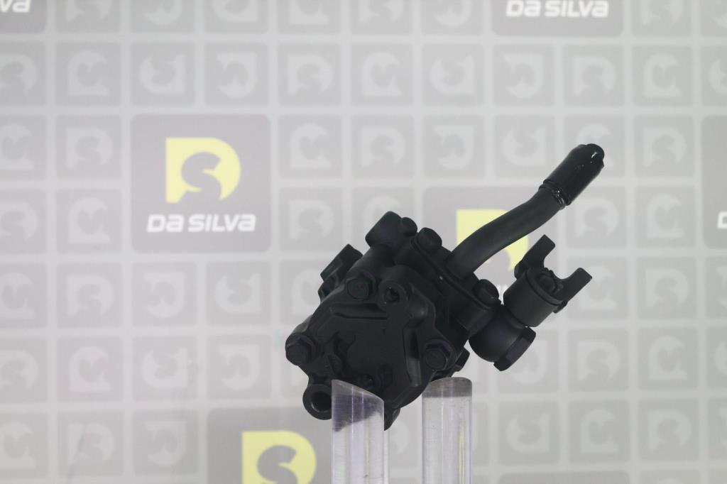 Pompe de direction assistée (Servo direction) DA SILVA S.A.S. DP3596
