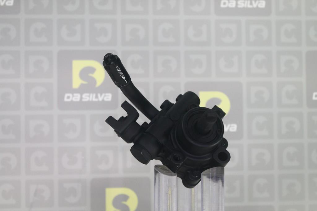 Pompe de direction assistée (Servo direction) DA SILVA S.A.S. DP3596