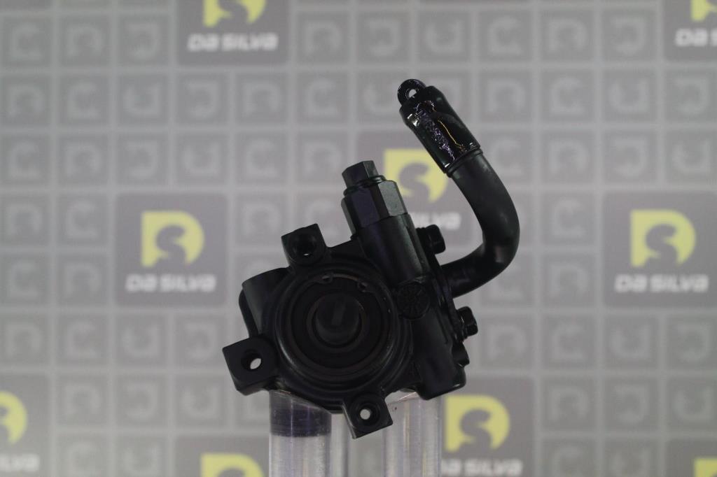 Pompe de direction assistée (Servo direction) DA SILVA S.A.S. DP3604