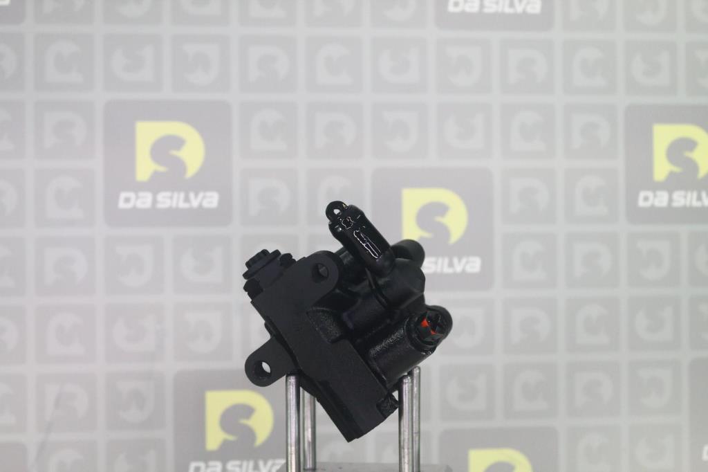 Pompe de direction assistée (Servo direction) DA SILVA S.A.S. DP3610