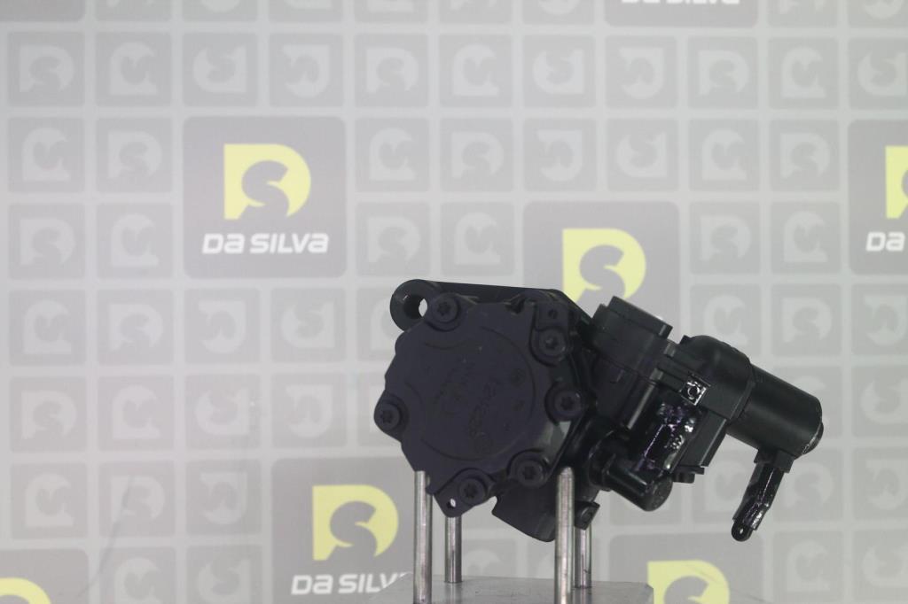 Pompe de direction assistée (Servo direction) DA SILVA S.A.S. DP3622