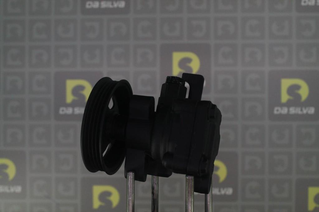 Pompe de direction assistée (Servo direction) DA SILVA S.A.S. DP3636