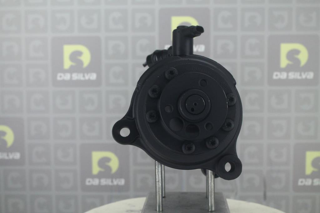 Pompe de direction assistée (Servo direction) DA SILVA S.A.S. DP3674