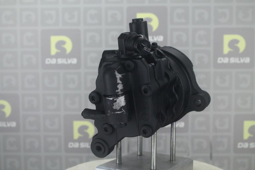 Pompe de direction assistée (Servo direction) DA SILVA S.A.S. DP3674