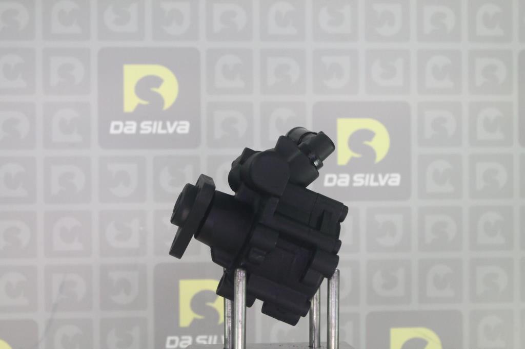 Pompe de direction assistée (Servo direction) DA SILVA S.A.S. ref. DP3680