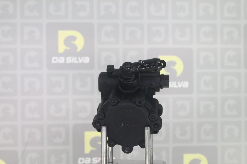 Pompe de direction assistée (Servo direction) DA SILVA S.A.S. ref. DP3680