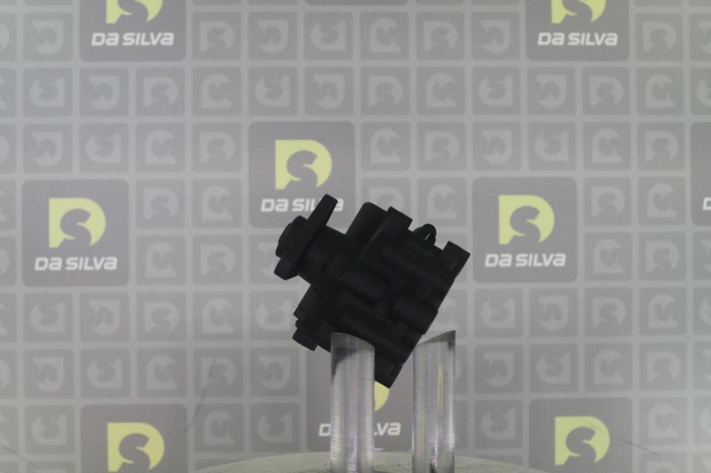 Pompe de direction assistée (Servo direction) DA SILVA S.A.S. DP3681