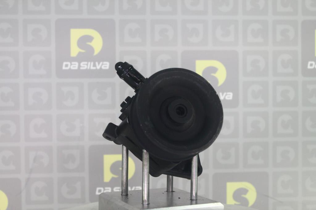 Pompe de direction assistée (Servo direction) DA SILVA S.A.S. DP3687