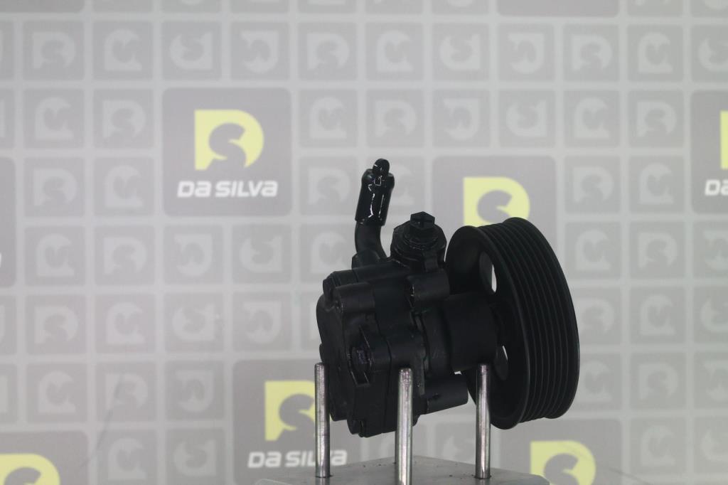 Pompe de direction assistée (Servo direction) DA SILVA S.A.S. ref. DP3696