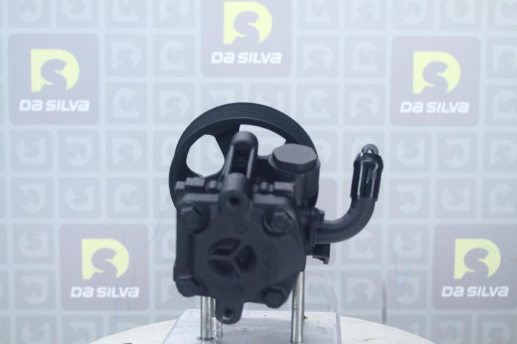 Pompe de direction assistée (Servo direction) DA SILVA S.A.S. DP3702