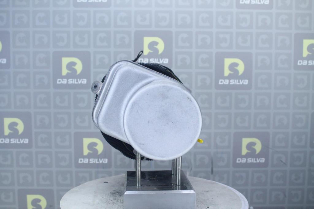 Pompe de direction assistée (Servo direction) DA SILVA S.A.S. ref. DP4102