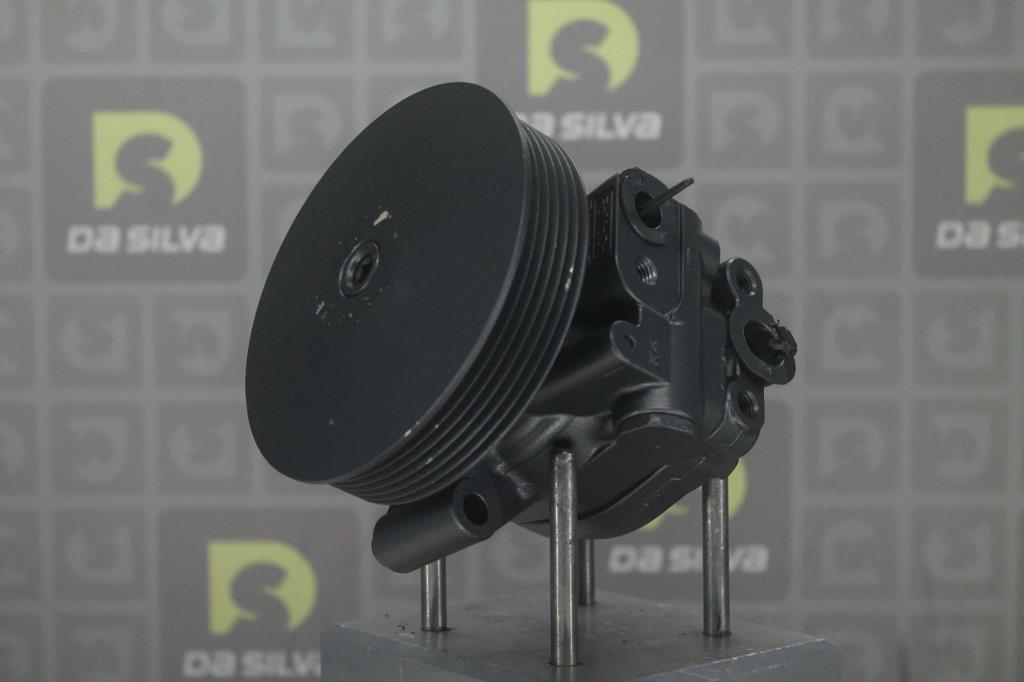 Pompe de direction assistée (Servo direction) DA SILVA S.A.S. DP4123