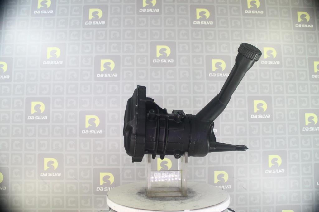 Pompe de direction assistée (Servo direction) DA SILVA S.A.S. ref. DP5019
