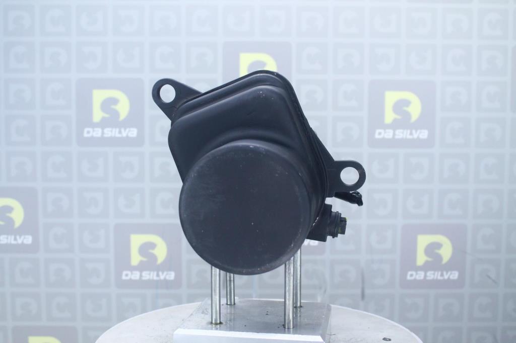 Pompe de direction assistée (Servo direction) DA SILVA S.A.S. ref. DP5051