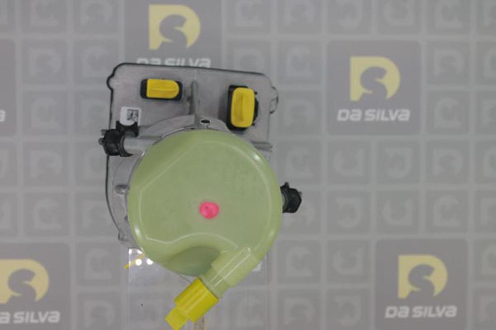 Pompe de direction assistée (Servo direction) DA SILVA S.A.S. ref. DPN1472