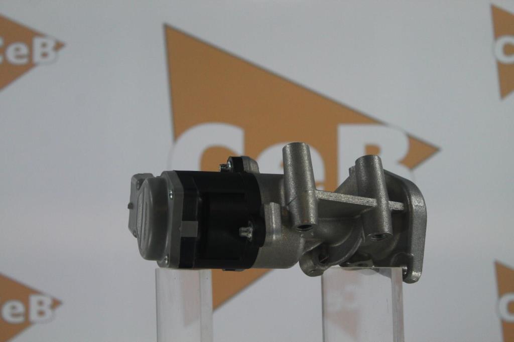 Vanne EGR DA SILVA S.A.S. GR6073
