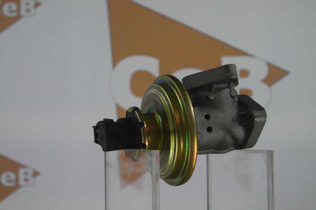 Vanne EGR DA SILVA S.A.S. GR6115