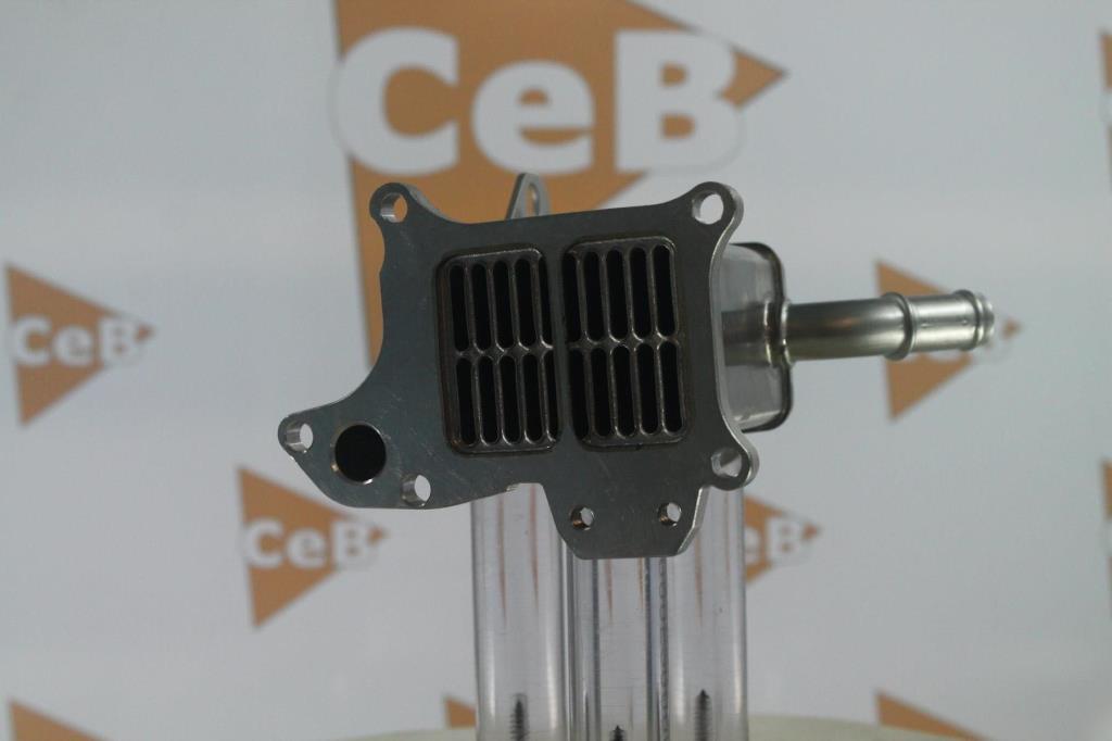 Radiateur, réaspiration des gaz d'échappement DA SILVA S.A.S. GR7019