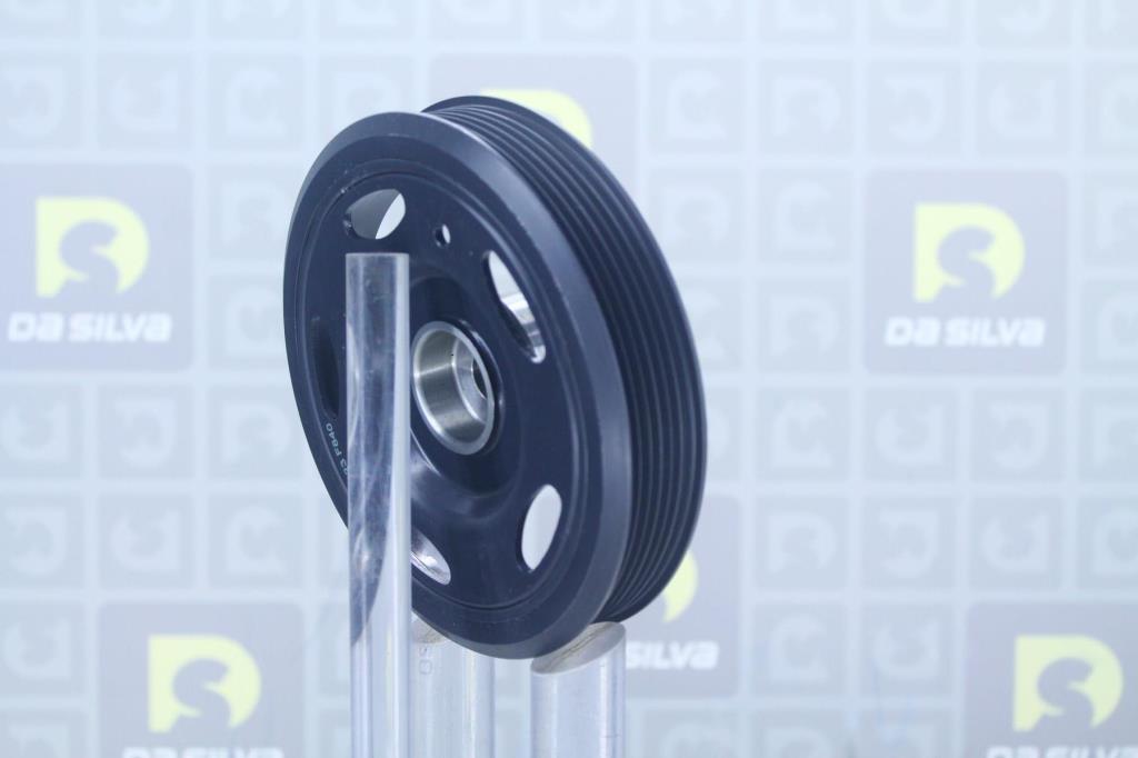 Poulie damper (Poulie de vilebrequin) DA SILVA S.A.S. PL8134