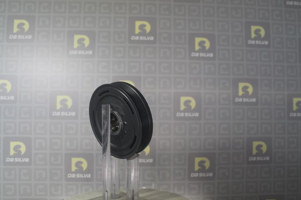 Poulie damper (Poulie de vilebrequin) DA SILVA S.A.S. PL8174