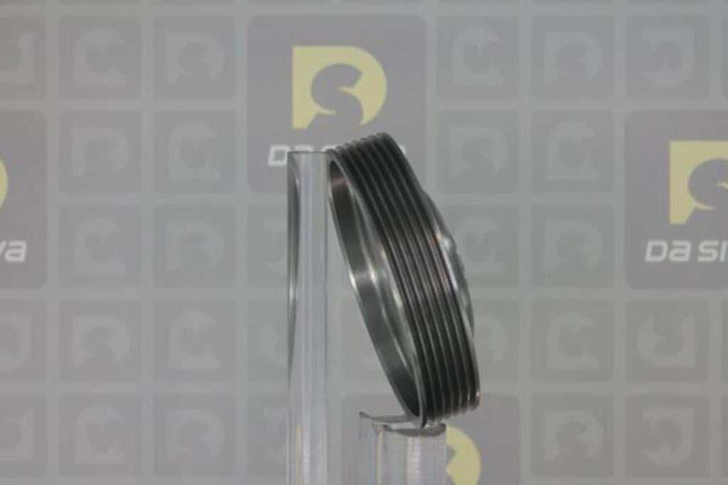 Poulie damper (Poulie de vilebrequin) DA SILVA S.A.S. PL8583