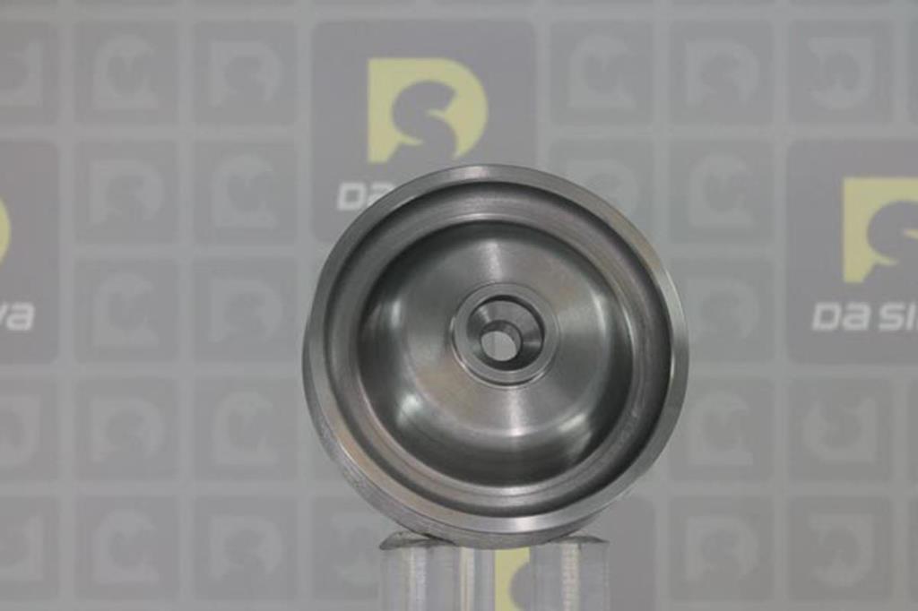 Poulie damper (Poulie de vilebrequin) DA SILVA S.A.S. PL8583