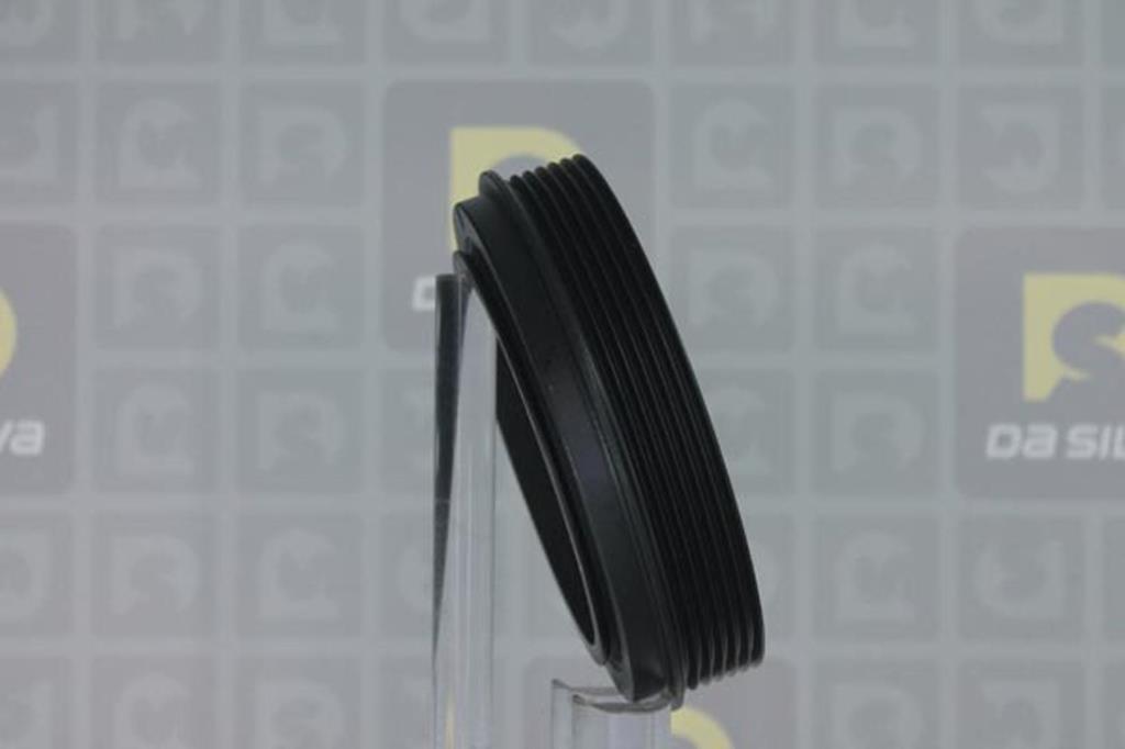Poulie damper (Poulie de vilebrequin) DA SILVA S.A.S. PL8589