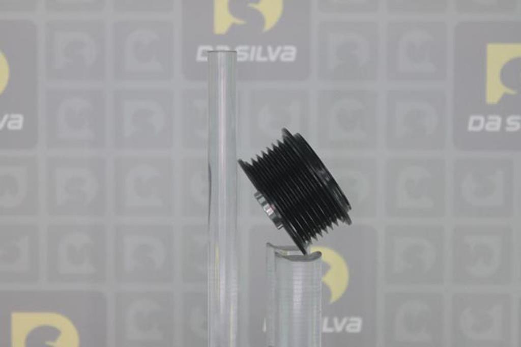 Polia do alternador DA SILVA S.A.S. ref. PRL165